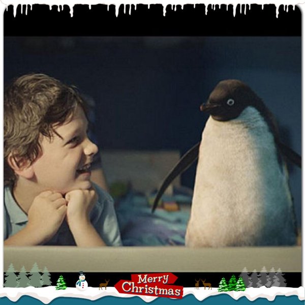 Image of Monty the Penguin Helps Year 5
