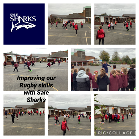 Image of Sale Sharks Rugby 