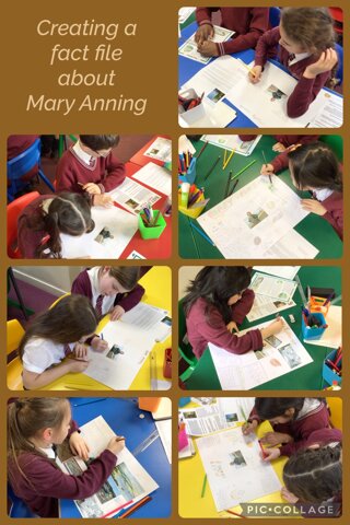 Image of Learning about Mary Anning and fossils in Science!