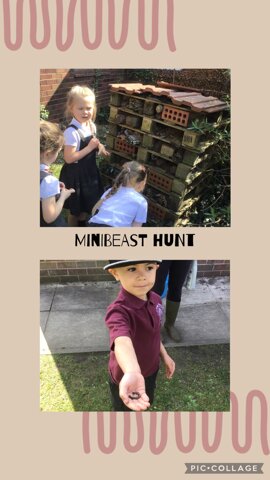 Image of Minibeast Hunt!
