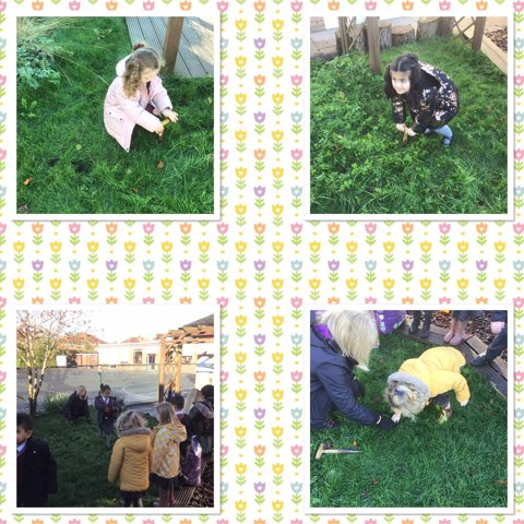 Image of Planting Bulbs In Our EYFS Garden
