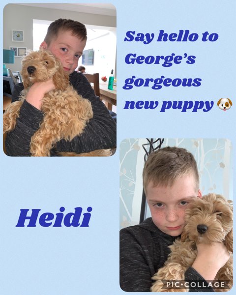 Image of Say hello to Heidi 