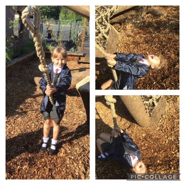 Image of We just love our new Rope Swing!